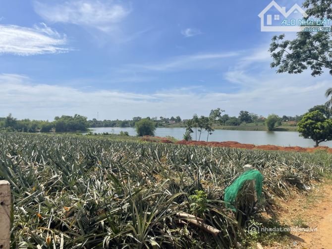 Bán đất thổ cư: Gần 8000m đất ở view Hồ tuyệt đẹp tại Quảng Phú Thọ Xuân