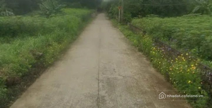 Bán đất thổ cư: Bán Đất 270m2 có sẵn 250 m2 thổ cư giá 1 tỷ tại thôn Bằng Tạ, xã