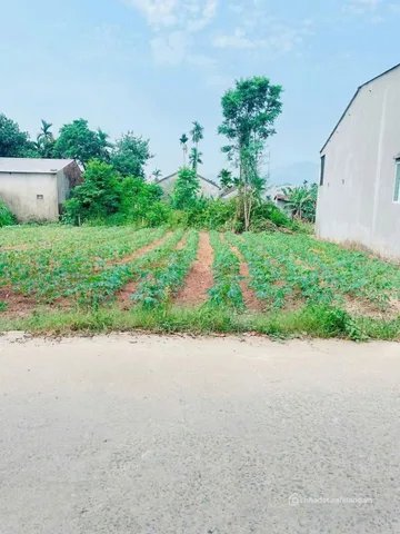 Bán đất thổ cư: Bán Đất 200m2 có sẵn 200 m2 thổ cư giá 950 triệu tại Xã Nghĩa Kỳ