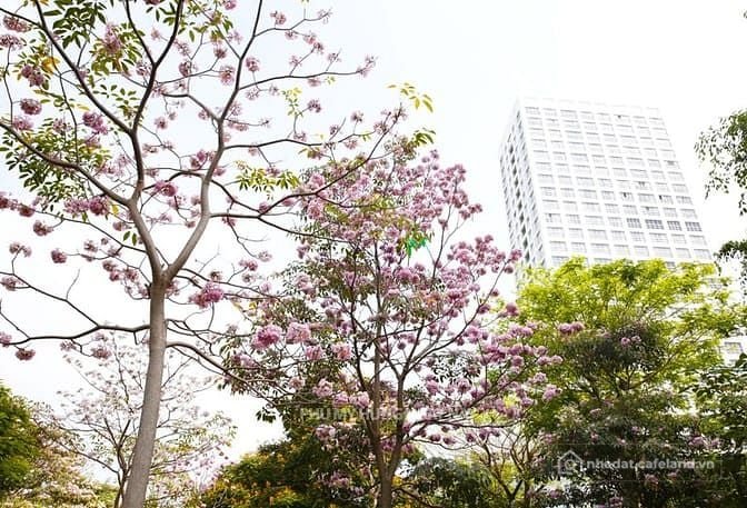 Bán căn hộ chung cư: Bán CHCC Happy Valley, Dt 112m2, TK 2PN, 2WC, NTCC, giá tốt