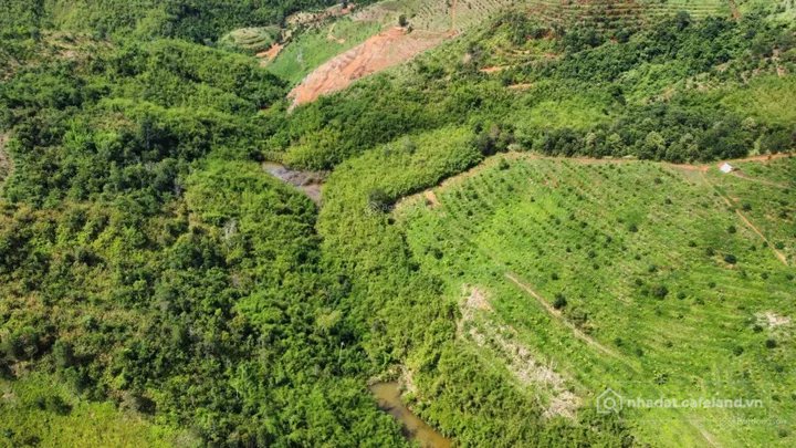Bán đất thổ cư: Bán 1,6ha Đất trồng CLN đường ô tô, Phường Bắc Gia Nghĩa, tỉnh L