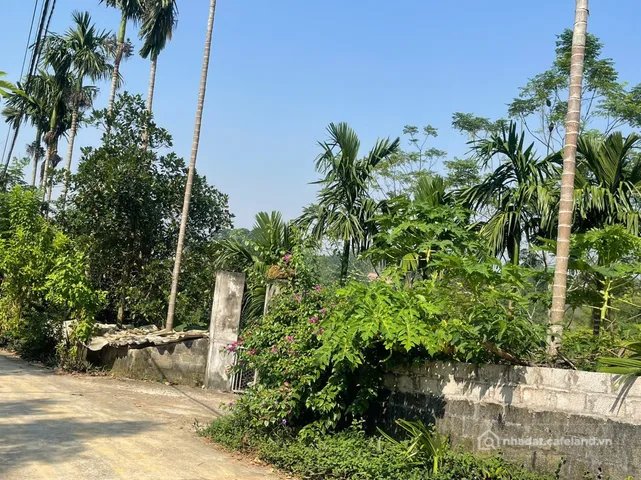 Bán đất thổ cư: Chưa tới 2 tỷ sở hữu ngay lô góc, đất Ba Vì cách tỉnh lộ 86 chỉ 