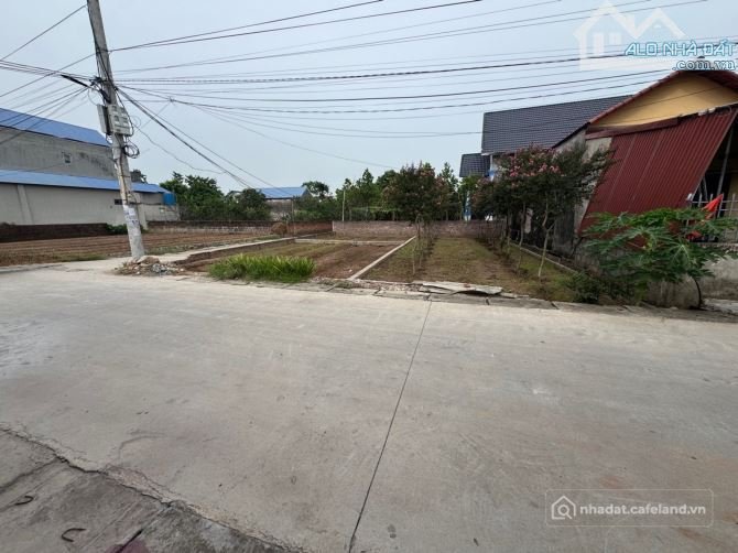 Bán đất thổ cư: Bán lô góc trục chính , kinh doanh tại Đông Kim - Đông Tảo - Kho