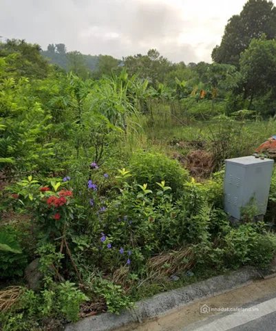 Bán đất thổ cư:  ĐẤT ĐÔ THỊ CAM ĐƯỜNG – MẶT TIỀN RỘNG, SỔ HỒNG SẴN, GIÁ HẤP DẪN