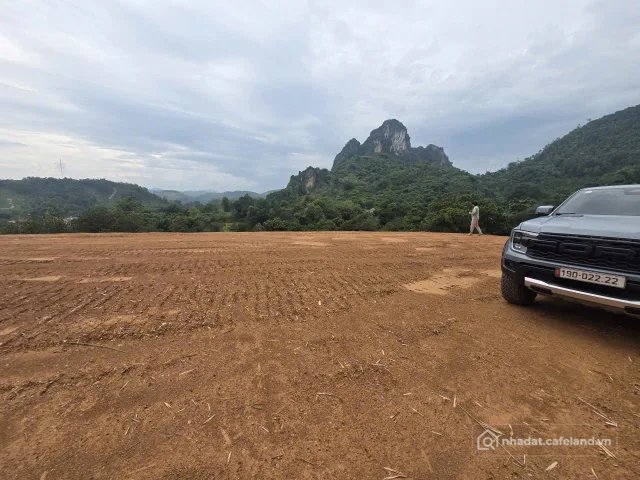 Bán đất thổ cư: Bán Đất 5600m2 có sẵn 200 m2 thổ cư giá 7 tỷ tại Thị trấn Lương 