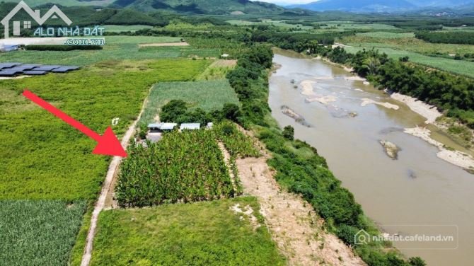 Bán đất nông, lâm nghiệp: Bán đất sông cầu khánh vĩnh vị trí đẹp giá đầu tư