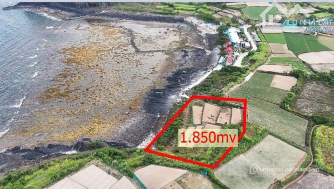 Bán đất nông, lâm nghiệp: Đất mặt biển Gành Yến Quảng Ngãi ngang 37m, 1.850m2, q