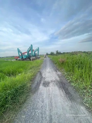 Bán đất thổ cư: Bán Đất 1819m2 có sẵn 1819 m2 thổ cư giá 5.46 tỷ tại hẻm Đường P