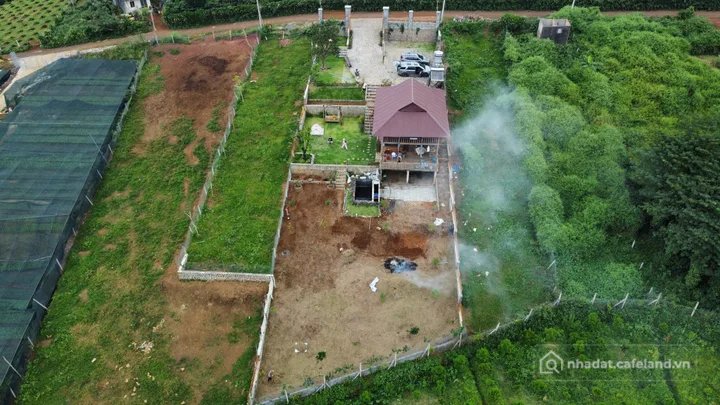 Bán đất thổ cư: Bán đất 529m2 10x53 giá siêu rẻ, sổ hồng công chứng ngay - Phườn