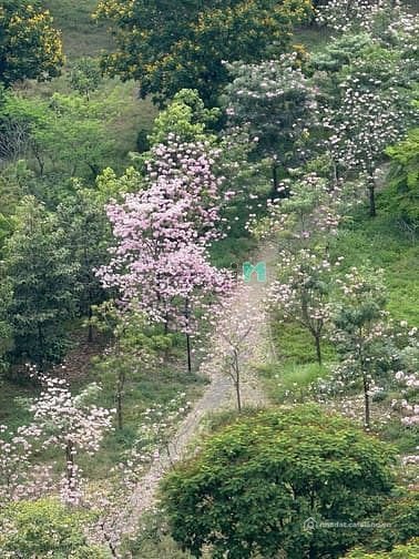 Bán căn hộ chung cư: Bán gấp CHCC Happy Valley, DT 100m2, 3PN, 2WC, NTDD, giá tố