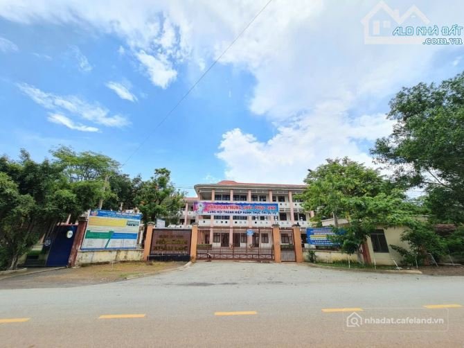 Bán đất nông, lâm nghiệp: HN085 (Mã SP D195 )  Không thể rẻ hơn hạ giá mạnh hơn