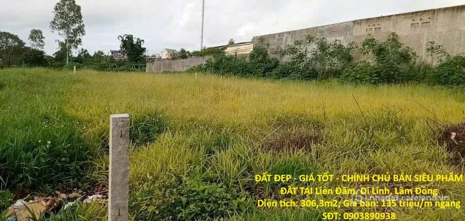 Bán đất thổ cư: ĐẤT ĐẸP - GIÁ TỐT - CHÍNH CHỦ BÁN SIÊU PHẨM ĐẤT TẠI Liên Đầm, Di