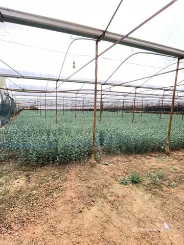 Bán đất thổ cư: BÁN ĐẤT ĐẸP HỒ THAN THỞ – ĐÀ LẠT 4000M2 GIÁ 6,7 TR/M2 sẵn nhà lồ