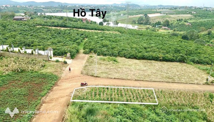 Bán đất thổ cư: Lô góc 2 mặt tiền view hồ Tây, thị trấn Di Linh, giá 1,3 tỷ