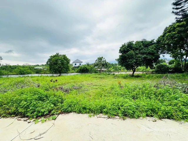 Bán đất thổ cư: Bán Đất 503m2 có sẵn 100 m2 thổ cư giá 3.3 tỷ tại Đường Đồng Cha