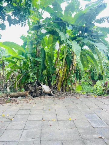 Bán đất thổ cư: Bán Đất 67.5m2 có sẵn 67.5 m2 thổ cư giá 3.2 tỷ tại - Chọn - Thị