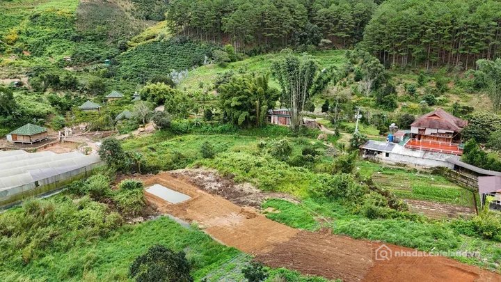 Bán đất thổ cư: Sổ riêng 1000m2 Tà Nung , Sổ riêng , Đà Lạt chỉ 2tỷ9,