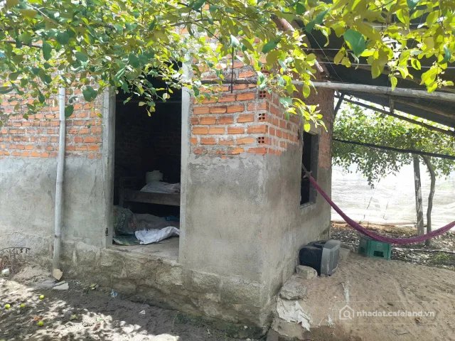 Bán đất thổ cư: TÂN SINH ĐÔNG – CAM LÂM – 3.162 M² – GIÁ CHỈ 2,3 TỶ