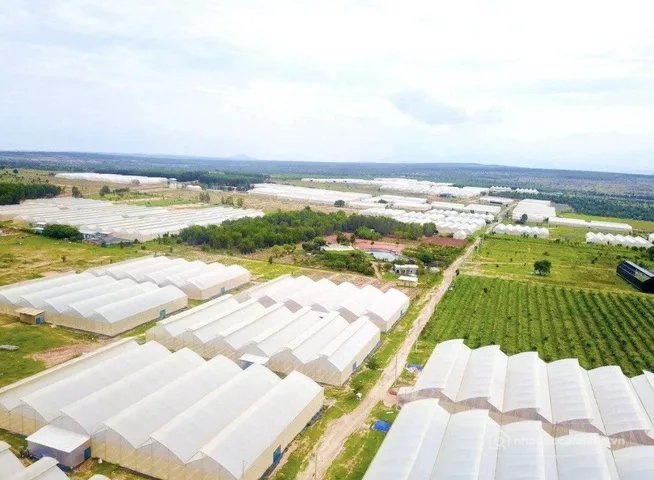 Bán đất thổ cư: Bán Đất 9000m2 giá 17 tỷ tại - Chọn - Xã Hòa Thắng Huyện Bắc Bìn