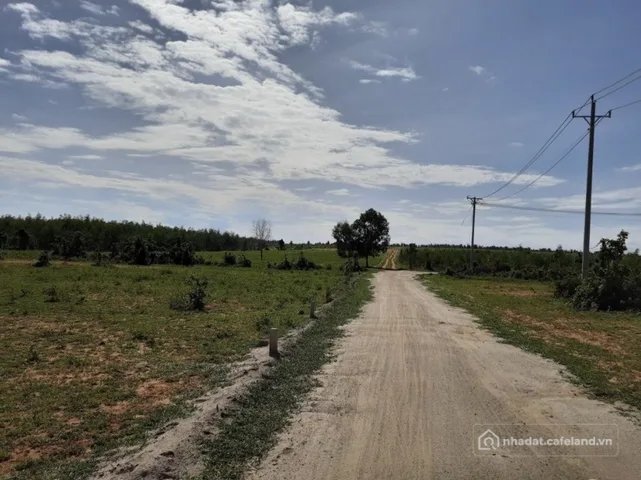 Bán đất thổ cư: Bán Đất 12000m2 giá 21 tỷ tại - Chọn - Xã Hòa Thắng Huyện Bắc Bì