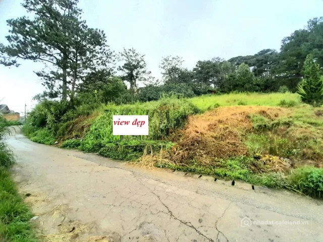 Bán đất thổ cư: Đất sổ riêng view cao đẹp sát đồi thông gần khu dân cư trung tâm