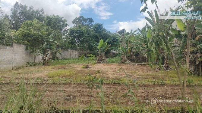 Bán đất thổ cư: BÁN ĐẤT VƯỜN 1.001M² - QUY HOẠCH ĐẤT Ở TOÀN BỘ - GIÁ: 5 TỶ - ẤP 