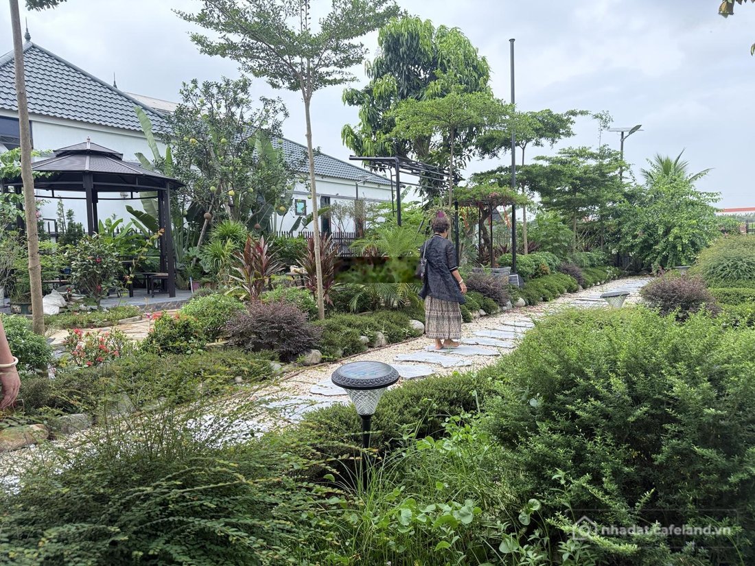 Bán đất thổ cư: 993m2 đất mặt đường lớn Hồng Vân chỉ 11tr/m2. Đất đẹp, khu vực h
