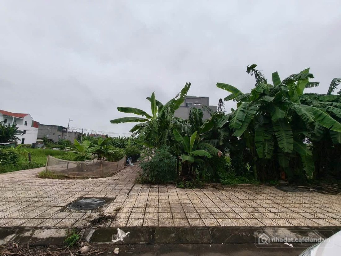Bán đất thổ cư: Đất lô góc tại tổ 7 Lê Hồng Phong, huyện Lý Nhân, Hà Nam