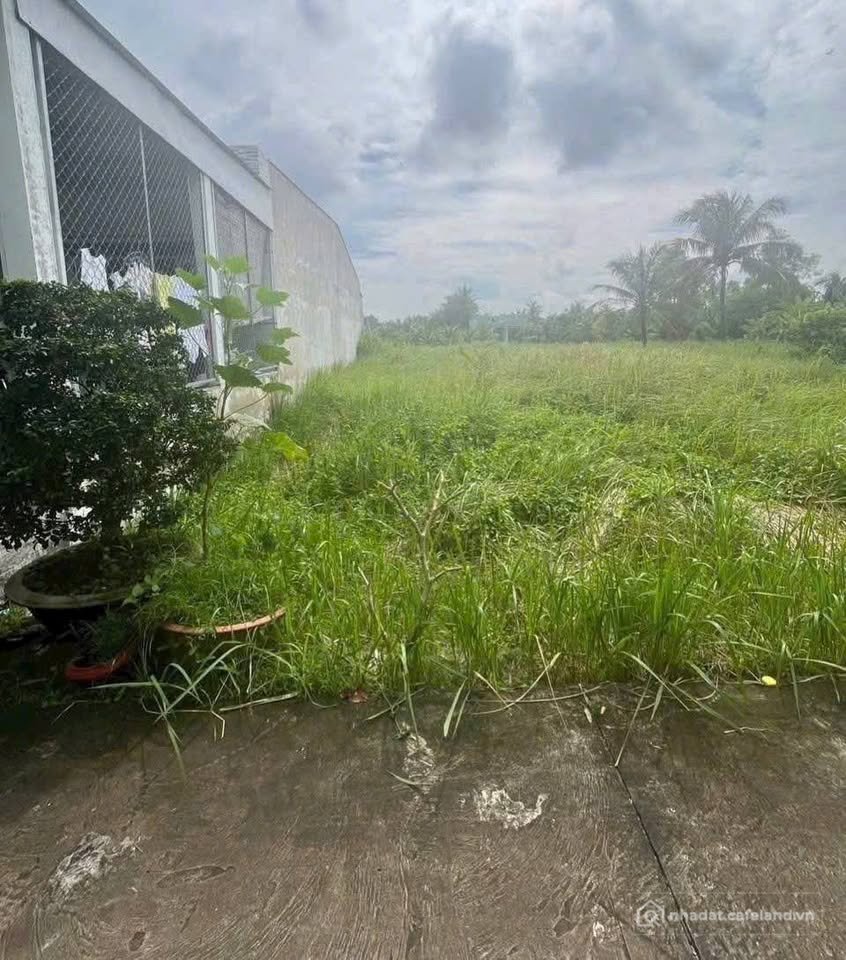 Bán đất thổ cư: Bán đất thổ cư 132m2 tại Phường 7, Bến Tre, vị trí đắc địa, gần 