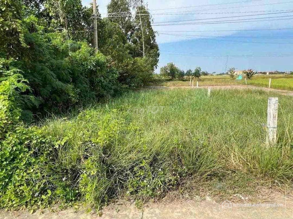 Bán đất thổ cư:  Bán Đất Mặt tiền Mương Tam Cần Đước Long An - DT 6,1 x 32m Thổ