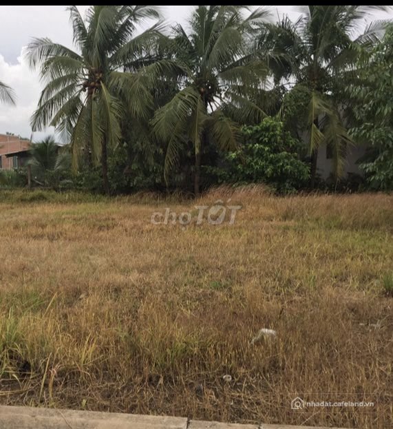 Bán đất thổ cư: Bán đất khu dân cư châu thành, tiền giang