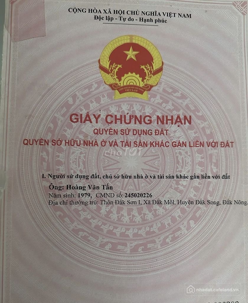 Bán đất nông, lâm nghiệp: CHÍNH CHỦ BÁN ĐẤT NHÀ VƯỜN ĐẸP TẠI ĐẮK MOL – ĐẮK SONG 