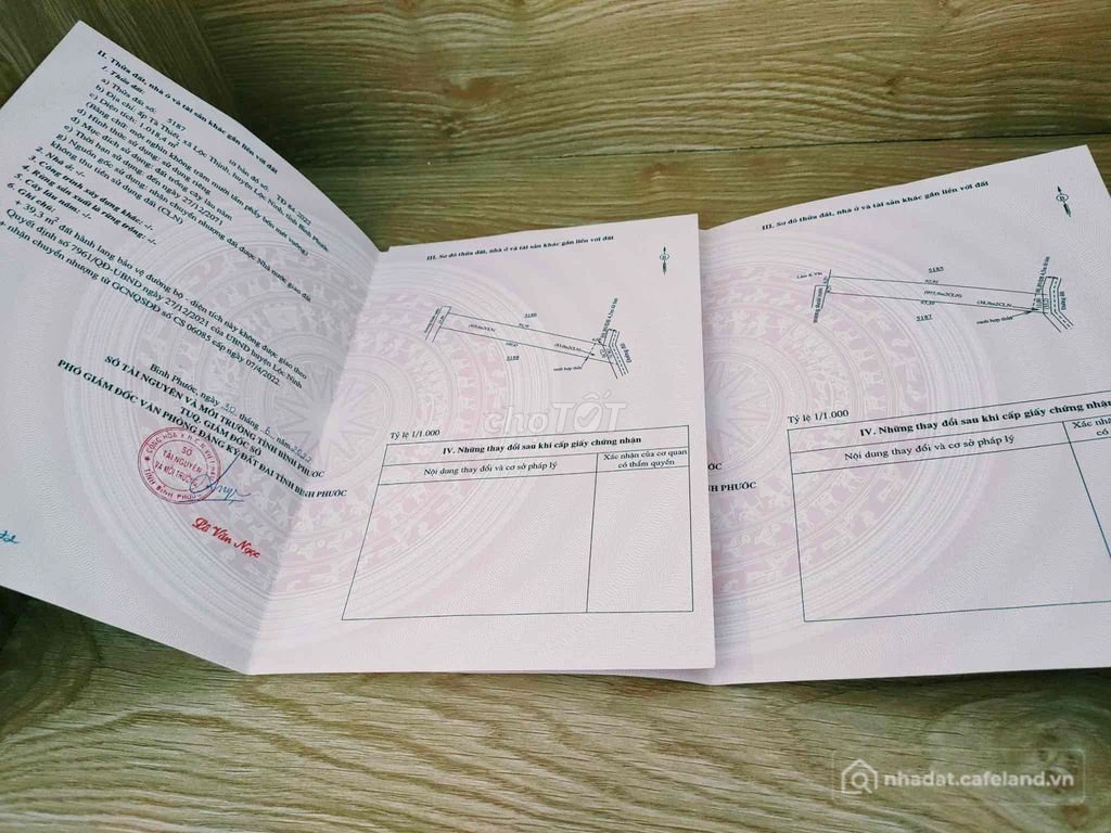Bán đất nông, lâm nghiệp: Bán đăt nền