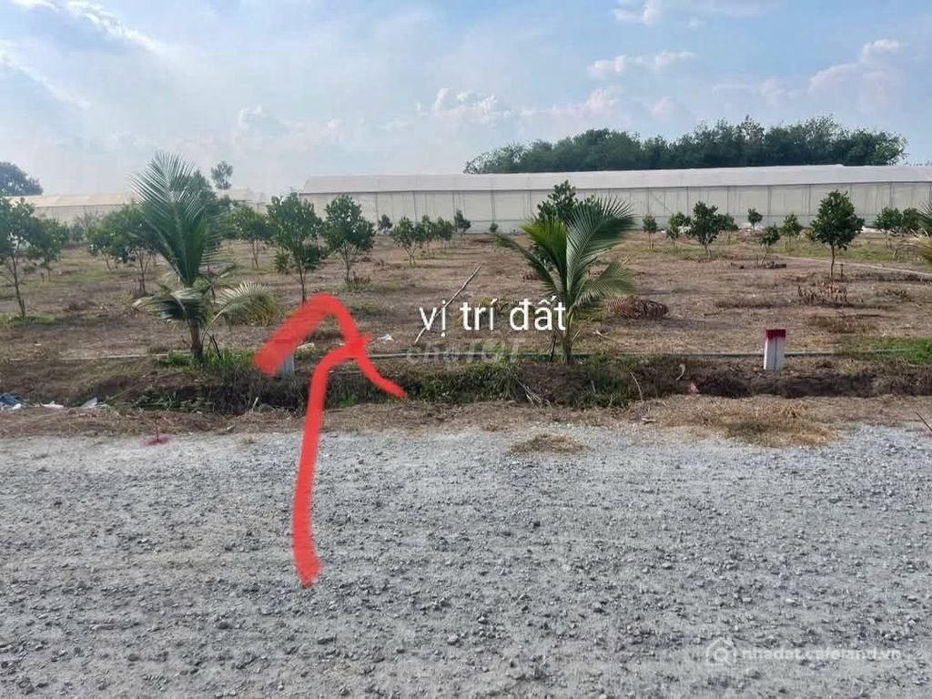 Bán đất thổ cư: Bán đất nền Phú Giáo, TP.HCM, 250m2, gần chợ An Thái