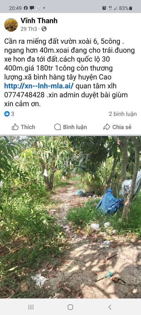 Bán đất nông, lâm nghiệp: Bán đất ao cá mặt tiền đường nhựa cặp sông cái bèo