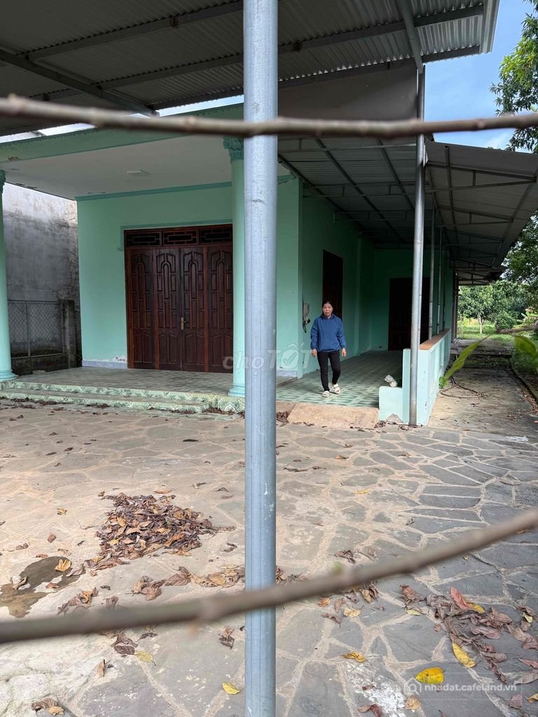 Bán đất nông, lâm nghiệp: cần bán đất
