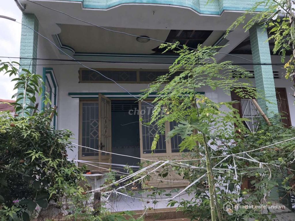 Biệt thự: Nhà cấp 4 Khu 4 tt Cái Bè