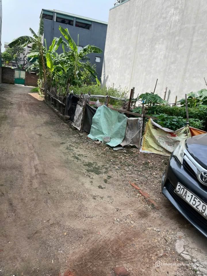 Bán đất thổ cư: Bán đất khu 12, phường Thanh Miếu, thành phố Việt Trì, đường rộn