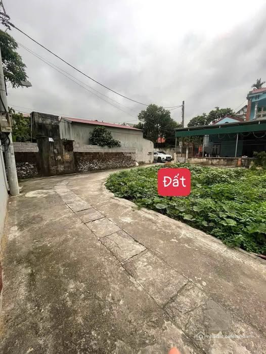 Bán đất thổ cư: Bán đất góc 62m2 tại Bình Lục, Hà Nam - Cơ hội đầu tư hấp dẫn