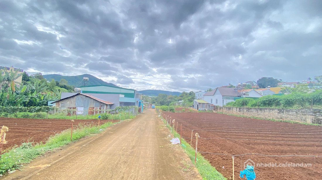 Bán đất thổ cư: Đất nền ngay trung tâm Đức Trọng, Lâm Đồng chỉ 1,1 tỷ
