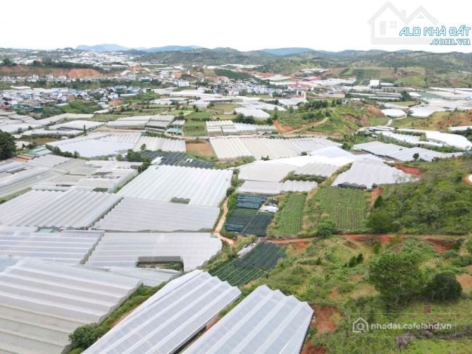 Bán đất nông, lâm nghiệp: 500m² ĐẤT ĐÀ LẠT GIÁ CHỈ : 1,5 TỶ, ĐƯỜNG 5M