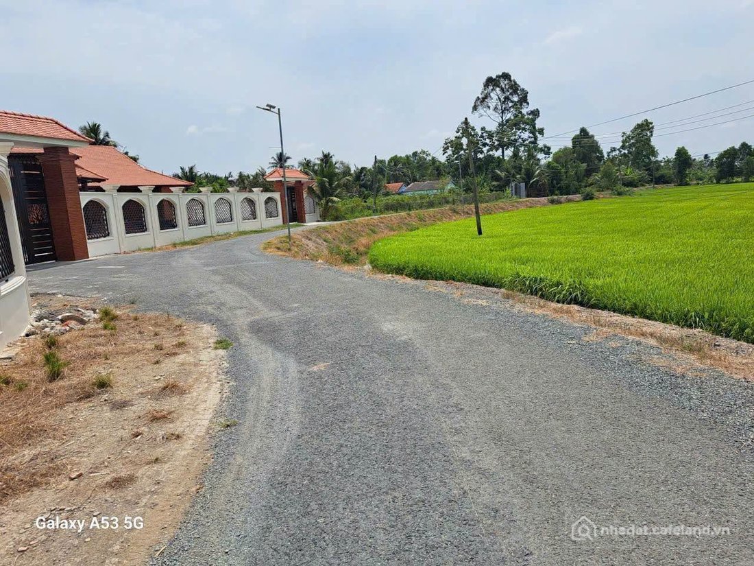 Bán đất thổ cư: Bán đất view sông Vàm Cỏ Tây tại ấp Bà Nghiệm, xã Mỹ Lạc, huyện 