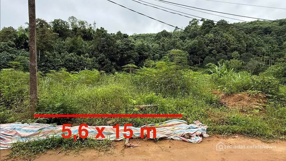 Bán đất thổ cư: Chốt ngay lô đất 83m2 Âu Cơ, Yên Bái giá siêu hời chỉ 690 triệu