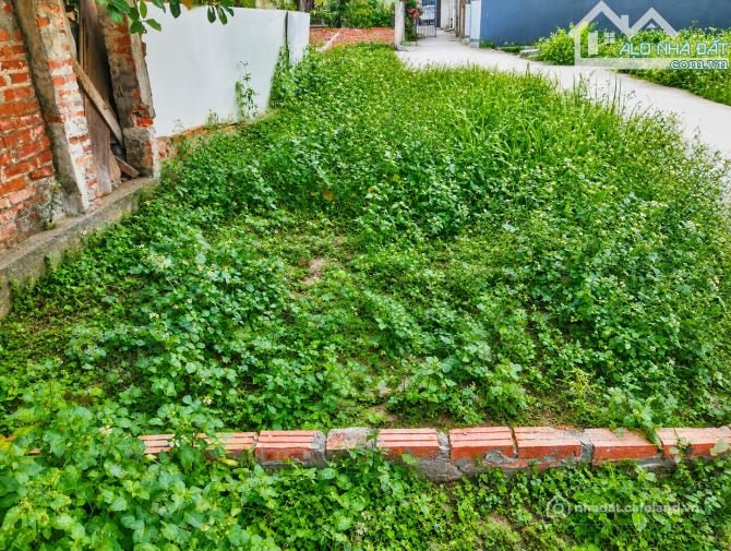 Bán đất thổ cư: Hàng FO CHỈ ĐẠO VĂN LÂM - 43m2 GIÁ NHỈNH 1 TỶ
