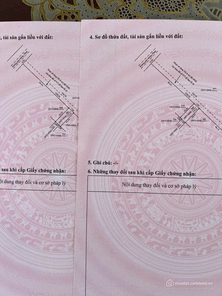 Bán đất thổ cư: Đất Lý Trạch, Đồng Hới, giá rẻ như cho, đầu tư là thắng