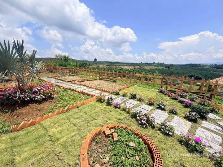 Bán đất thổ cư: Đất nền Lâm Hà, giá đầu tư chỉ 399 triệu, sổ hồng riêng