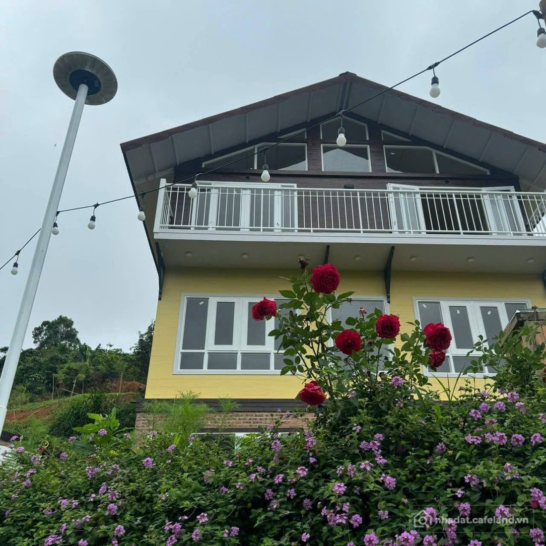 Bán đất thổ cư: Sốc nhiệt với giá giảm sâu, homestay 3 tầng view đồi tại Bảo Lộc