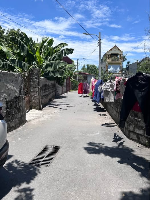 Bán đất thổ cư: Đất đẹp Bình Lục, cắt lỗ sâu, giá chỉ hơn 1 tỷ