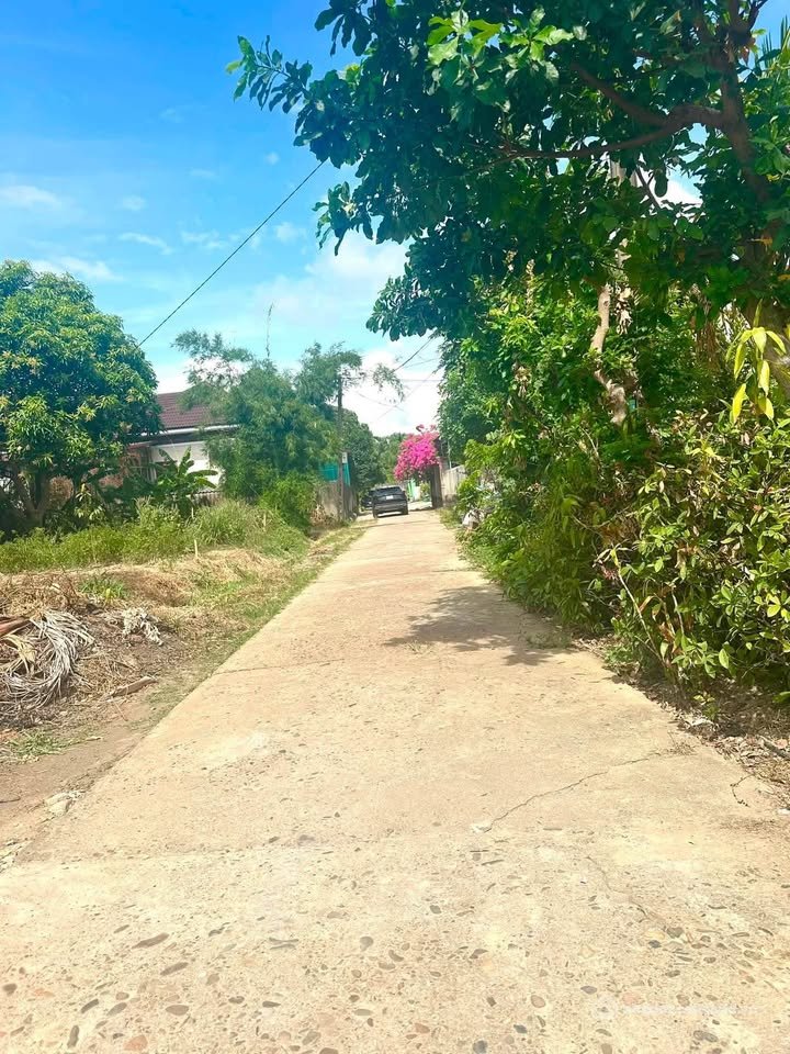 Bán đất thổ cư: Bán lô đất đẹp tại kiệt đường Thanh Niên, thành phố Đông Hà, giá