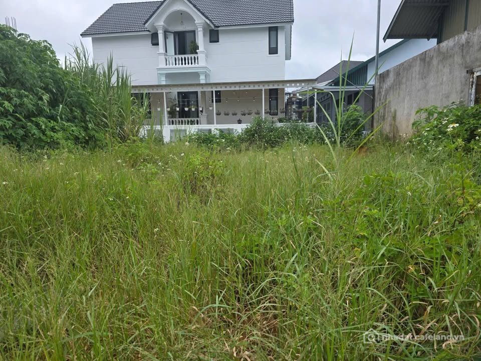 Bán đất thổ cư: Đất biệt thự 205m2 khu quy hoạch Bạch Đằng, Phường 7, Đà Lạt